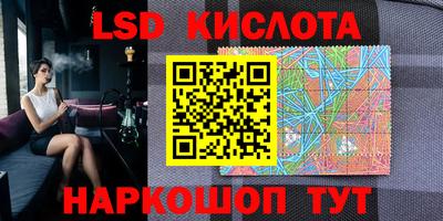 прущие грибы Мариинск